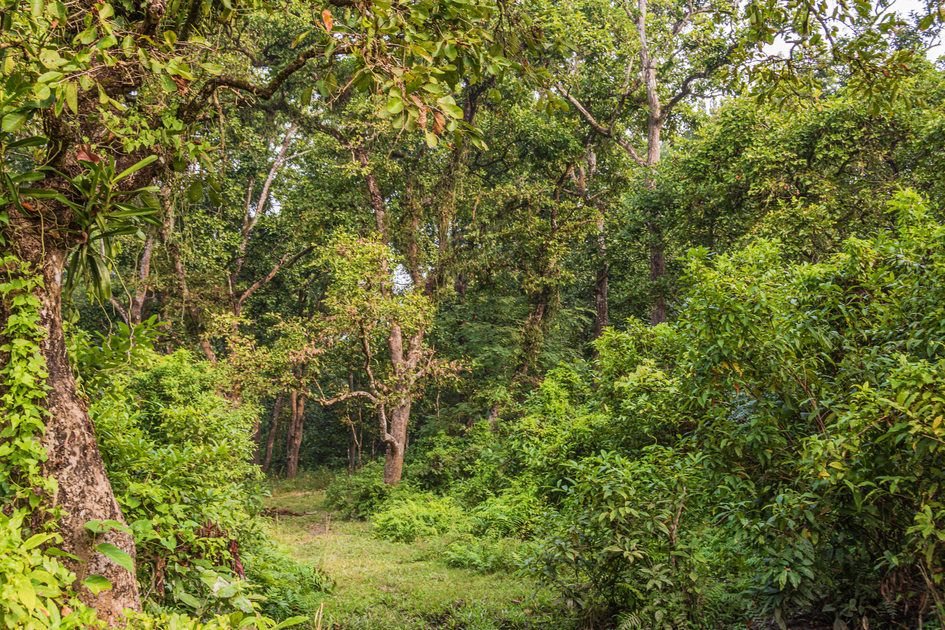 Chitwan Rapti River Tour